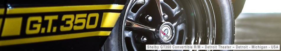 Shelby_GT350-MI.jpg